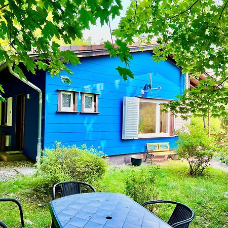 Platell Ferienhausverwaltung Sankt Andreasberg Bagian luar foto