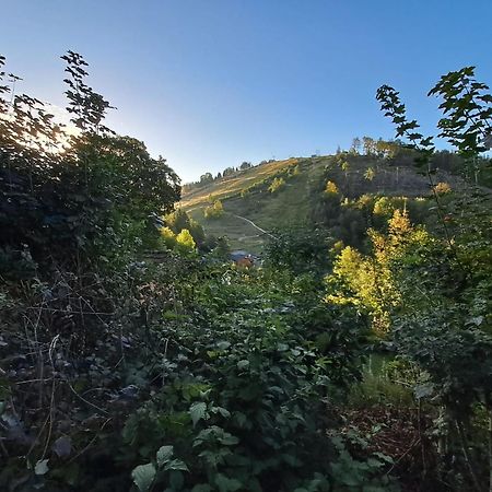 Platell Ferienhausverwaltung Sankt Andreasberg Bagian luar foto