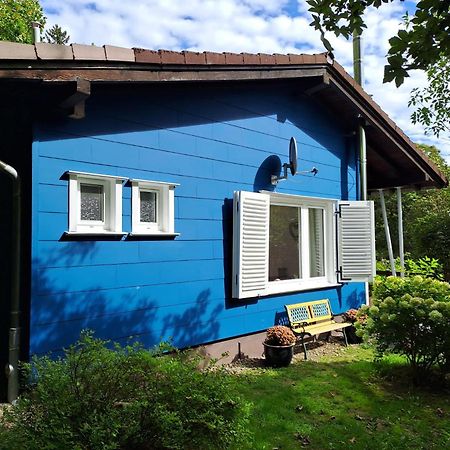 Platell Ferienhausverwaltung Sankt Andreasberg Bagian luar foto