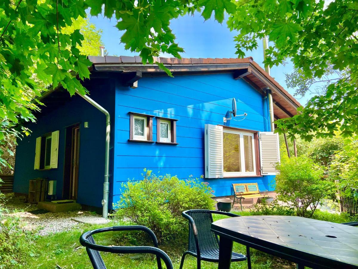 Platell Ferienhausverwaltung Sankt Andreasberg Bagian luar foto