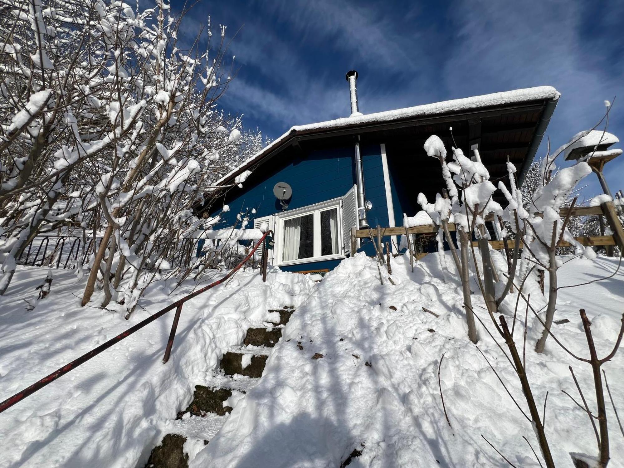 Platell Ferienhausverwaltung Sankt Andreasberg Bagian luar foto