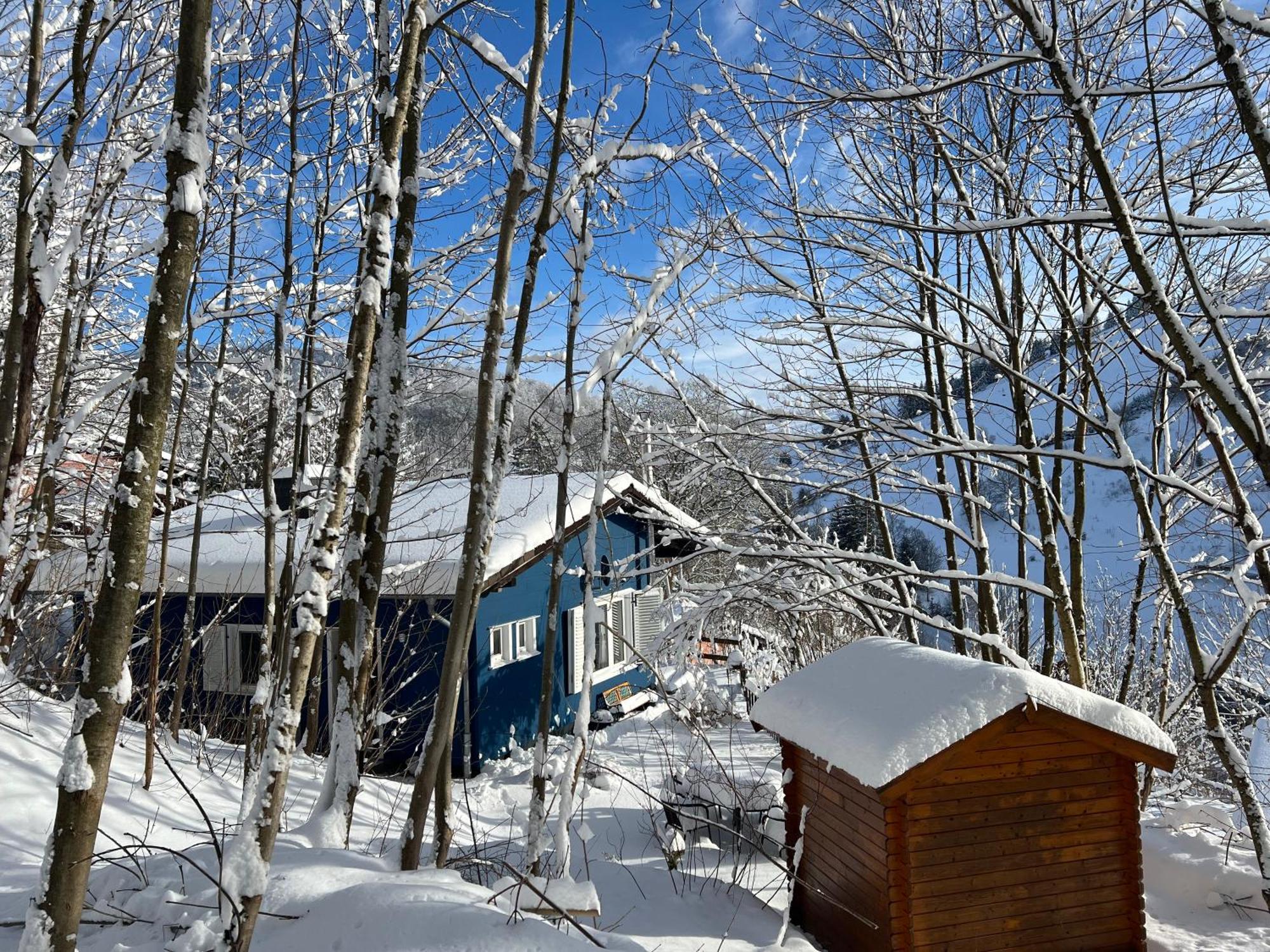 Platell Ferienhausverwaltung Sankt Andreasberg Bagian luar foto