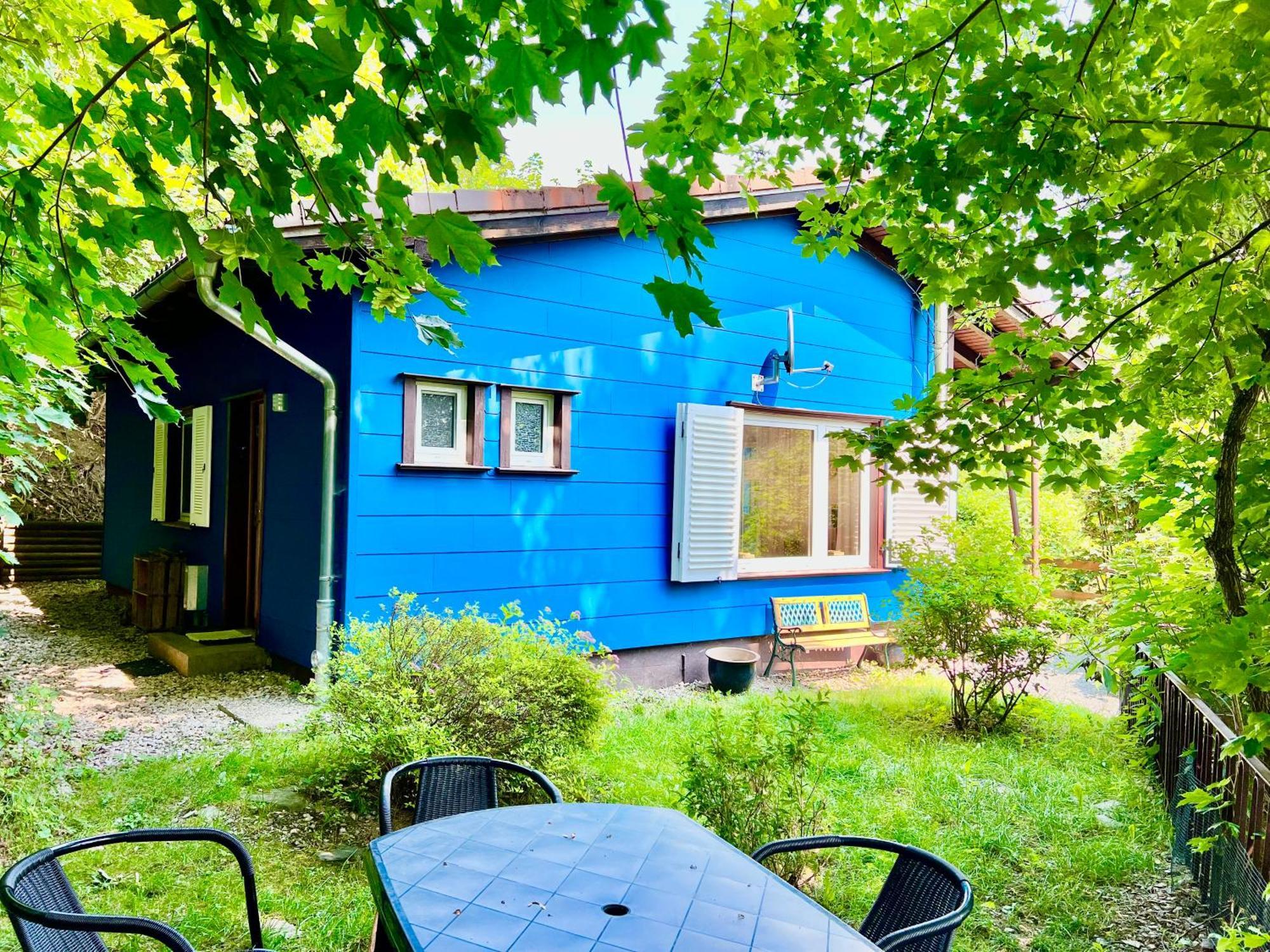 Platell Ferienhausverwaltung Sankt Andreasberg Bagian luar foto