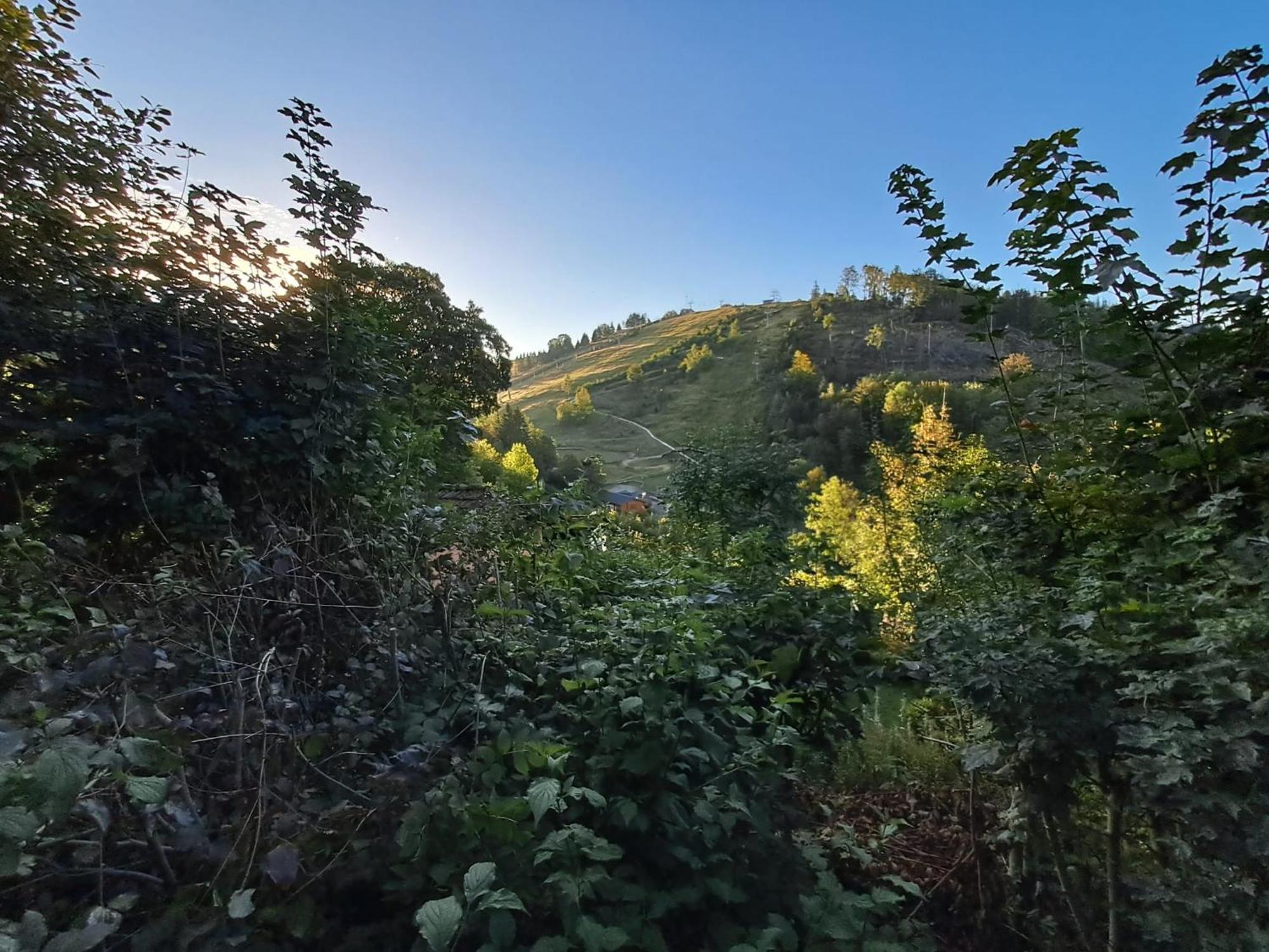 Platell Ferienhausverwaltung Sankt Andreasberg Bagian luar foto