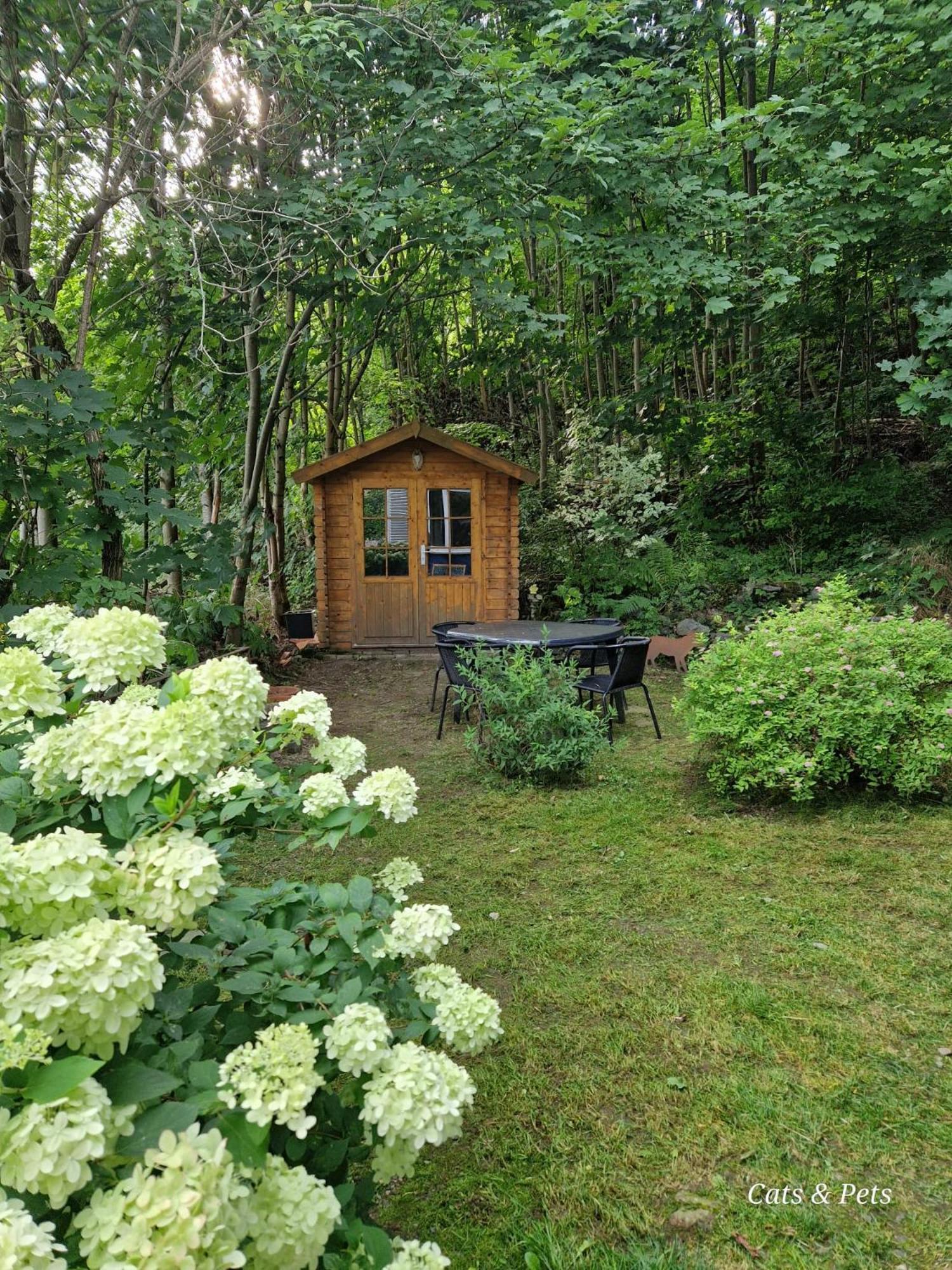 Platell Ferienhausverwaltung Sankt Andreasberg Bagian luar foto